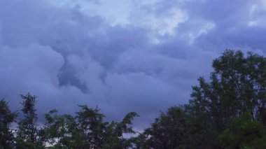 Gökyüzündeki bulutlar. Yağmurlu bir günde ağaçlar rüzgarda sallanır. Yukarıdan bak. El bilgisayarı Çekimi