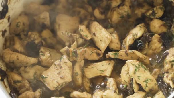 Poulet Aneth Aux Pruneaux Est Frit Petits Morceaux Filet Cuits — Video