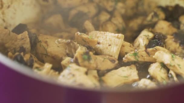 Frango Com Endro Ameixas Fritas Pequenos Pedaços Filé Cozidos Molho — Vídeo de Stock