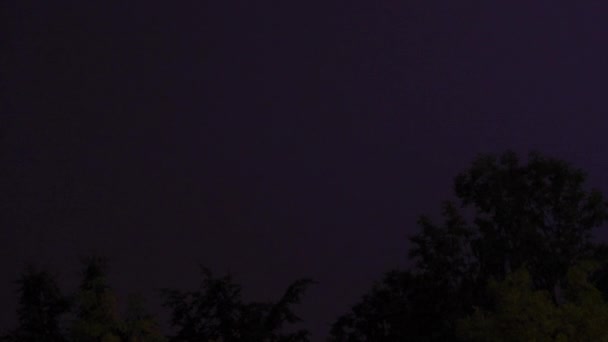Настоящие Вспышки Молнии Темном Небе Над Лесом Время Мощной Грозы — стоковое видео