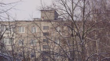 Bulutlu sonbahar havası. - Ev. Ağaçlar. Kargalar Şehri sonbahar arkaplanı