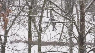 Kış günü kar yağıyor. Kar fırtınası. Yoldan geçen. Şehir kış arkaplanı