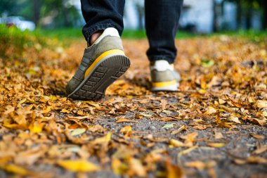 Düşmüş yaprakların arasında kaldırım. Sonbahar arkaplanı