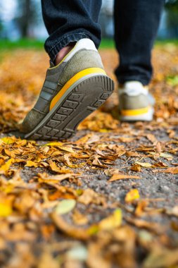Düşmüş yaprakların arasında kaldırım. Sonbahar arkaplanı