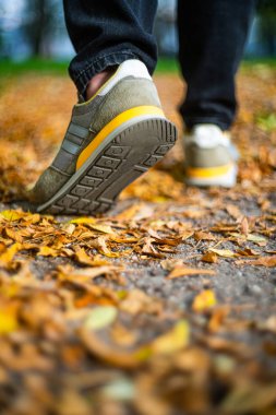Düşmüş yaprakların arasında kaldırım. Sonbahar arkaplanı