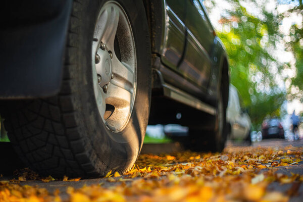Car in Fallen leaves. Autumn background