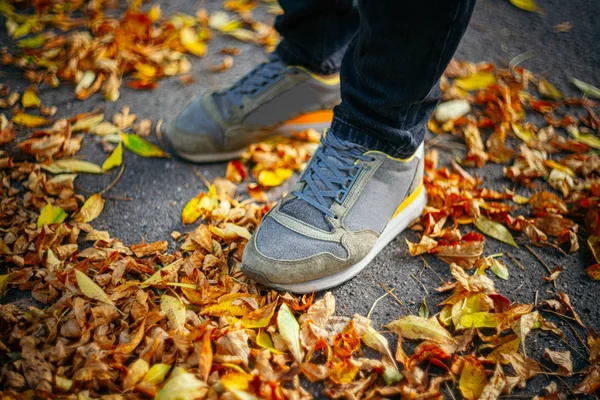 Sidewalk w opadłych liściach. Jesienne tło — Zdjęcie stockowe