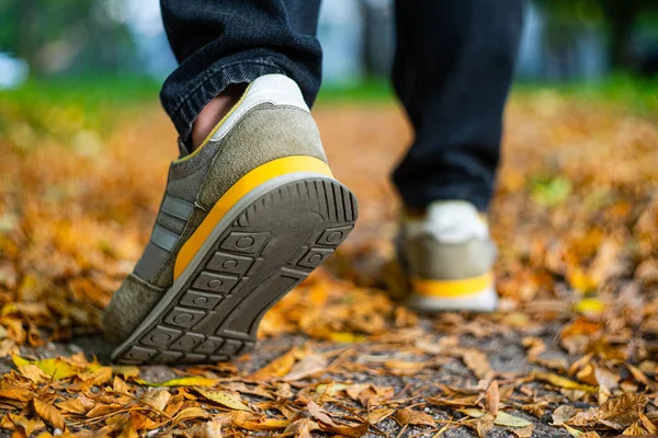 Caminata lateral en follaje caído. Fondo de otoño —  Fotos de Stock