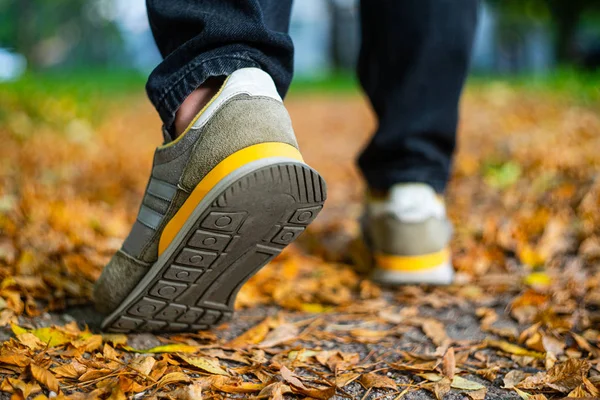 Trottoir dans un feuillage tombé. Fond d'automne — Photo