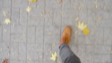 Deri ayakkabılı genç bir adam düşen yapraklarla yolda yürüyor. Sonbahar sezonu. Açık şehir yürüyüşü konsepti