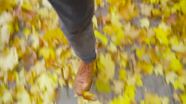 革の靴を履いた青年が落ち葉の道を歩いている 秋だアウトドアシティウォークのコンセプト — ストック動画
