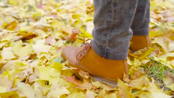 Deri Ayakkabılı Genç Bir Adam Düşmüş Yaprakların Üzerinde Duruyor Sonbahar — Stok video
