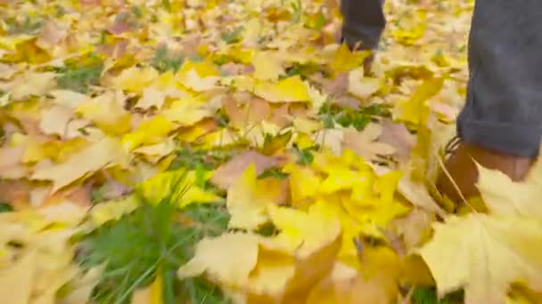 Парке Гуляет Человек Кожаных Ботинках Осенний Пейзаж Цветной Листвой Осенний — стоковое видео