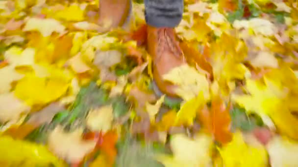 革の靴を着た男が公園を歩いている 紅葉の美しい秋の風景 秋だ屋外の街歩きの概念 スローモーション — ストック動画