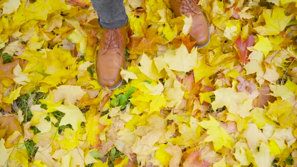 一个穿着皮鞋的年轻人站在落叶中 秋天的季节 户外城市步行的概念 慢动作 — 图库视频影像