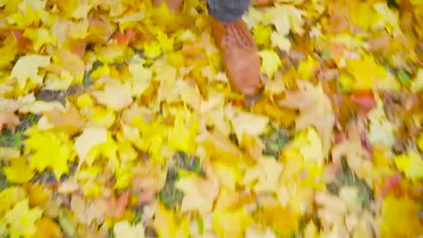 革の靴を着た男が公園を歩いている 紅葉の美しい秋の風景 秋だ屋外の街歩きの概念 スローモーション — ストック動画