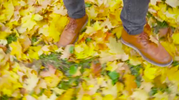 Egy Bőrcipős Férfi Sétál Parkban Gyönyörű Őszi Táj Színes Lombozattal — Stock videók