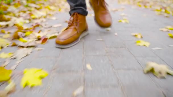 Deri Ayakkabılı Genç Bir Adam Düşen Yapraklarla Yolda Yürüyor Sonbahar — Stok video