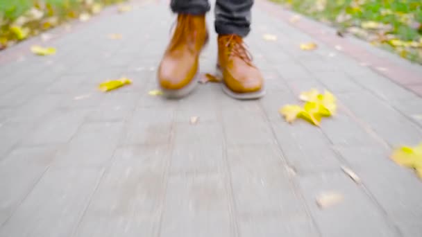 Deri Ayakkabılı Genç Bir Adam Düşen Yapraklarla Yolda Yürüyor Sonbahar — Stok video