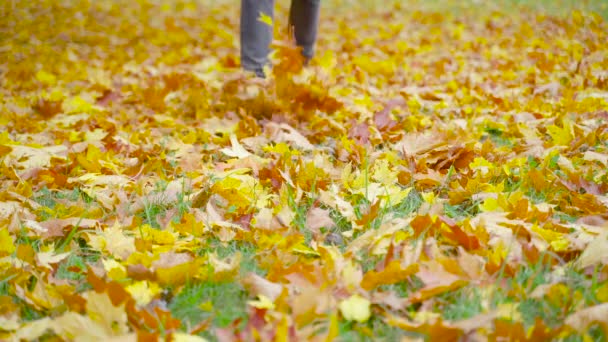 Een Jongeman Leren Schoenen Rent Gevallen Bladeren Parkeer Herfst Openlucht — Stockvideo