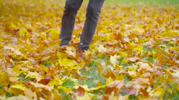 一个穿皮鞋的男人很好玩 他跳到落叶上 秋天的公园 户外城市步行的概念 — 图库视频影像