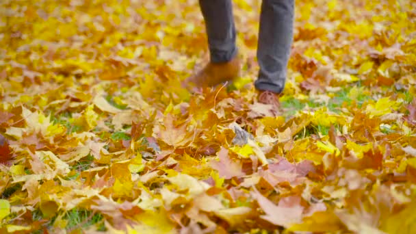 革の靴の男は落ち葉で楽しいです 秋の公園 アウトドアシティウォークのコンセプト — ストック動画