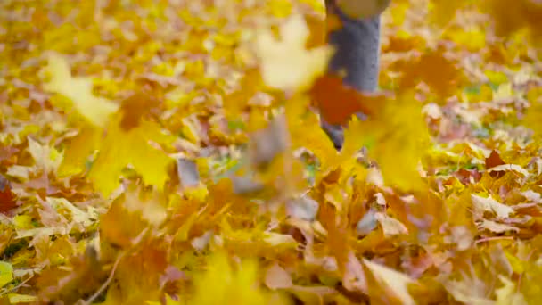 Een Man Leren Schoenen Heeft Plezier Gevallen Bladeren Parkeer Herfst — Stockvideo