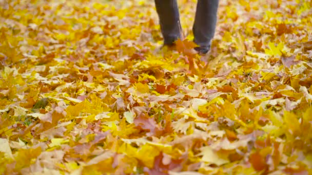 Ein Mann Lederschuhen Hat Spaß Und Springt Auf Fallende Blätter — Stockvideo