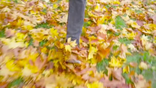 Giovane Con Scarpe Pelle Corre Foglie Cadute Parcheggiare Autunno Concetto — Video Stock