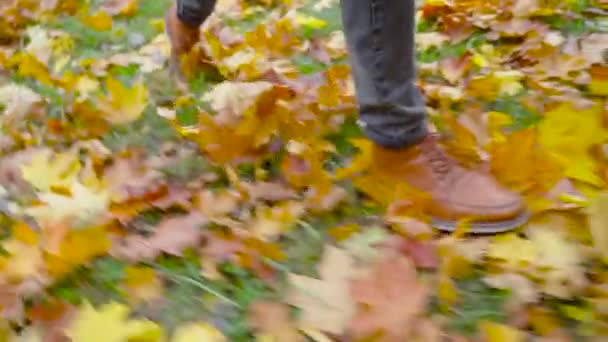 革の靴を着た男が公園を歩いている 紅葉の美しい秋の風景 秋だアウトドアシティウォークのコンセプト — ストック動画