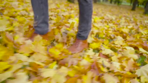 革の靴を着た男が公園を歩いている 紅葉の美しい秋の風景 秋だアウトドアシティウォークのコンセプト — ストック動画