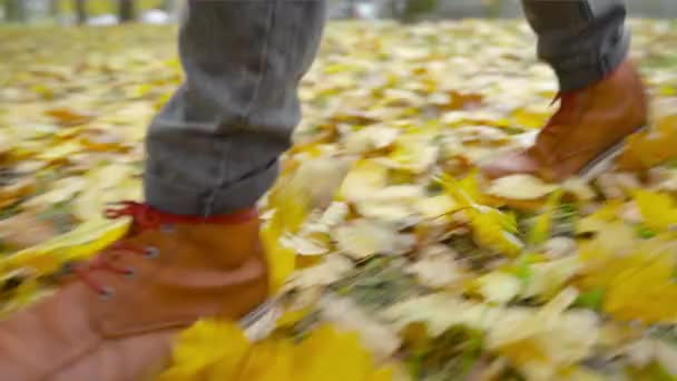 Deri Ayakkabılı Bir Adam Parkta Yürüyor Renkli Yaprakları Olan Güzel — Stok video
