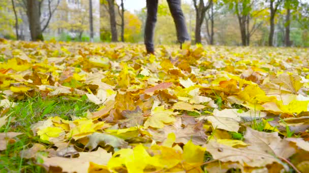 Ein Mann Lederschuhen Geht Durch Den Park Schöne Herbstlandschaft Mit — Stockvideo