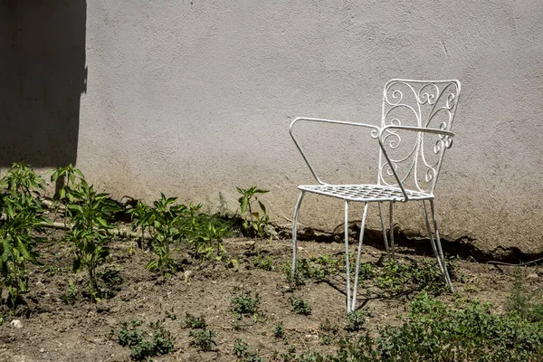 Güneşli bir bahçede, desenli bir duvarın yanında beyaz metal sandalye.