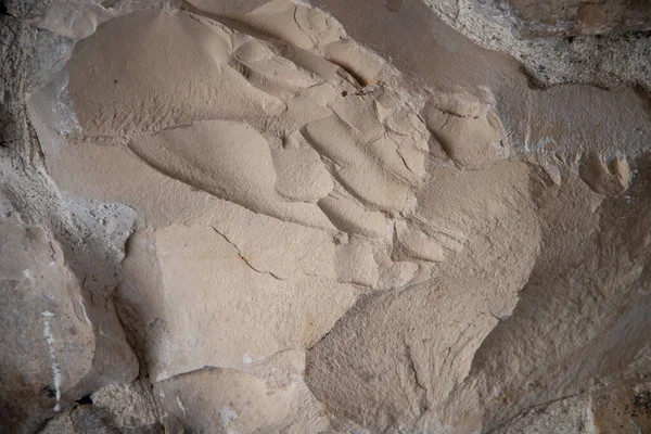 Erotik Doku ve Eşsiz Desenlerle Doğal Kaya Yüzeyinin Yakın Çekimi