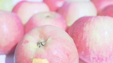 Ağaç dalında sallanan olgun elma. Yüksek kalite fotoğraf