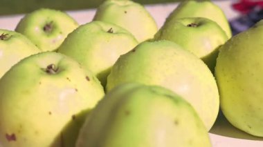 Ağaç dalında sallanan olgun elma. Yüksek kalite fotoğraf