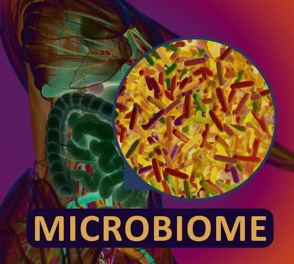Bacterias Intestinales Microbioma Ilustración Microscópica Ilustración Imagen — Foto de Stock