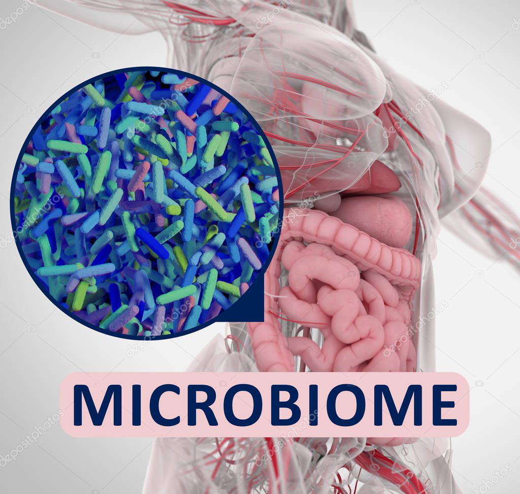 Gut bacteria microbiome microscopic illustration. 3D illustration. 3D image.