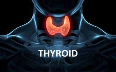 İnsan vücudunun içinde tiroid bezi. Kırmızı parlayan. 3D çizim.