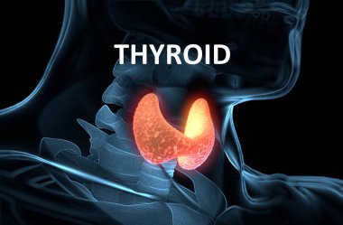 İnsan vücudunun içinde tiroid bezi. Kırmızı parlayan. 3D çizim.