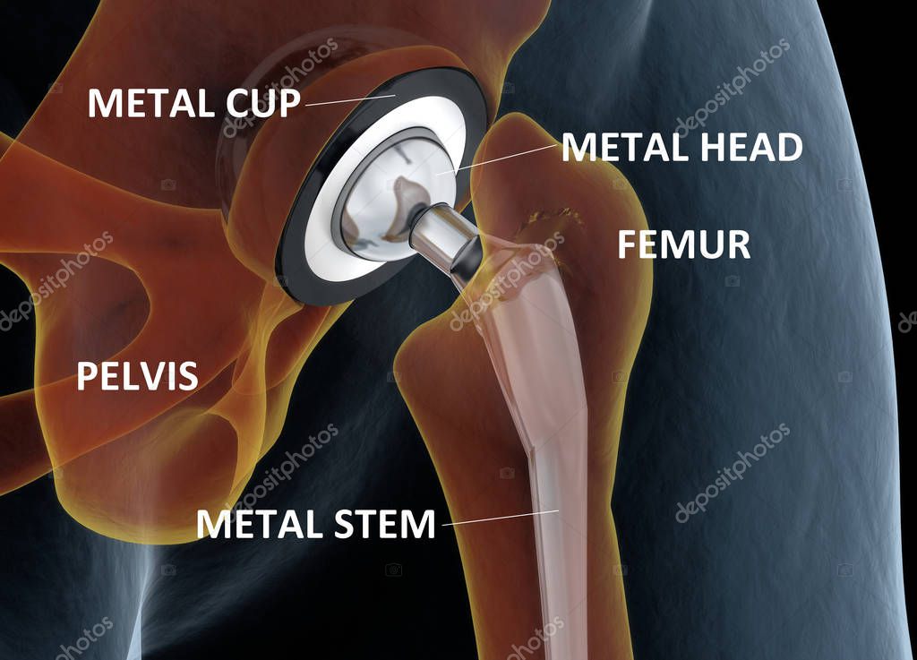 AnatomyInsider