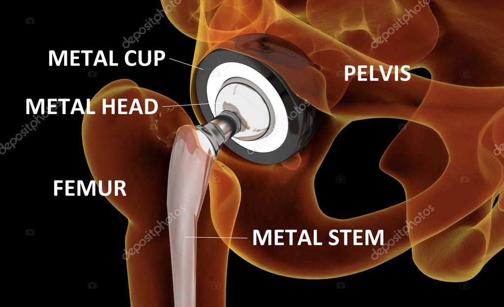 AnatomyInsider