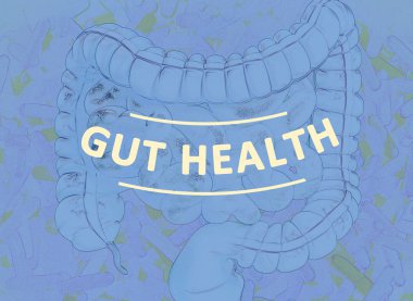 Bağırsak bakterileri, mikrobiyom. Kalın bağırsak içinde bakteri, kavram, temsil. 3d illüstrasyon.