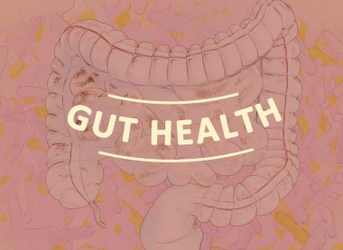 Bağırsak bakterileri, mikrobiyom. Kalın bağırsak içinde bakteri, kavram, temsil. 3d illüstrasyon.