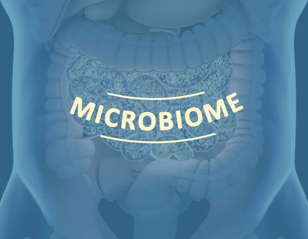 腸内細菌、マイクロバイオーム大腸内の細菌、概念、表現。3Dイラスト. — ストック写真