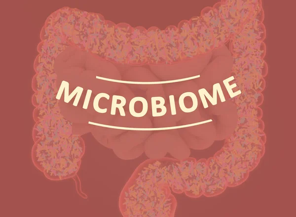 Бактерии кишечника, микробиом. Бактерии внутри толстой кишки, концепция, представление. 3D иллюстрация . — стоковое фото
