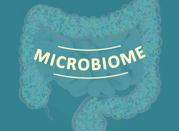 Gut bacteria, microbiome. Bacteria inside the large intestine, concept, representation. 3D illustration. — Stock Photo, Image