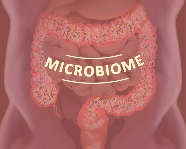 Bakterie jelitowe, mikrobiomu. Bakterie wewnątrz jelita grubego, koncepcja, reprezentacja. ilustracja 3D. — Zdjęcie stockowe