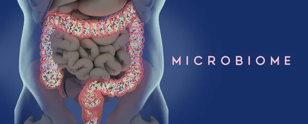 Ανθρώπινο Μικροβίωμα Παχύ Έντερο Γεμάτο Βακτήρια Τίτλος Microbiome Εικονογράφηση — Φωτογραφία Αρχείου